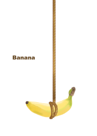 Hanging banana