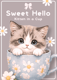 pink Peek-a-Boo Cute Kitten
