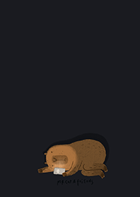 Mr.capybara's night