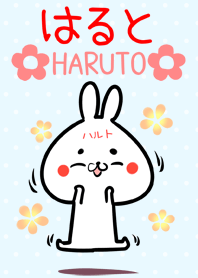 Haruto rabbit Theme