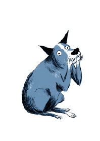 別看我，我什麼都沒做