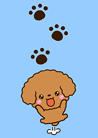 Theme of Toy poodle Red