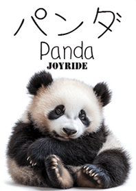 Panda2