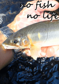 鮎！川釣り師の為の着せ替え