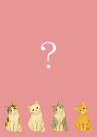 Cat tilting its head on lightpink