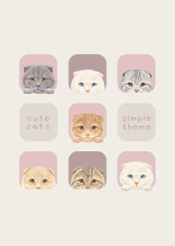 CATS - Scottish fold - PINK GRAY