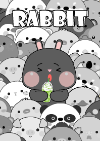 Simple Special Black  Rabbit Theme
