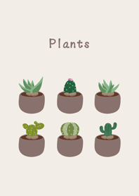 美しい鉢植えの茶色