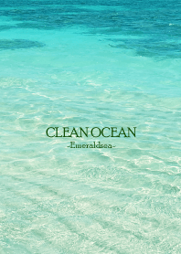 CLEAN OCEAN -Emerald sea HAWAII- 30