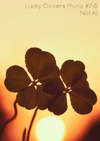 Lucky Clovers Photo #7-5 Not AI