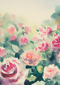 Beautiful rose flower(R4416)