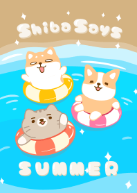 Shibasays Theme 04 Summer