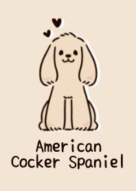Spaniel Cocker Amerika yang lucu!