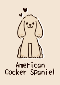 Cute American Cocker Spaniel!!