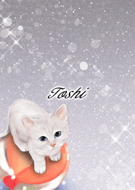 Toshi White cat and marbles