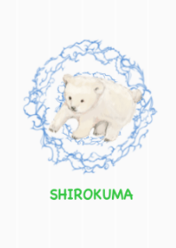 白熊。