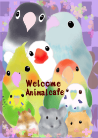 歡迎動物咖啡館