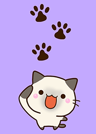 Chibi Siamese cat