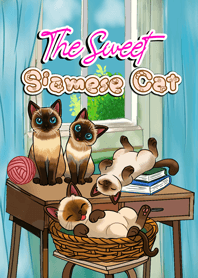 the sweet Siamese cat