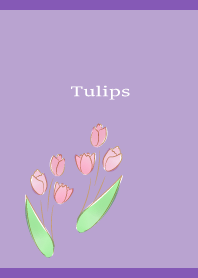 Pink Tulips on purple