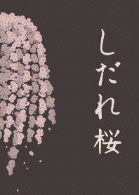 [改] 枝垂樱 + 棕色 |os