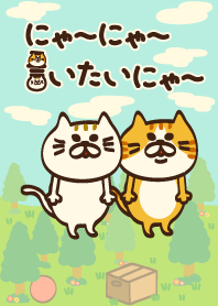 にゃーにゃー言いたいにゃー 2着目