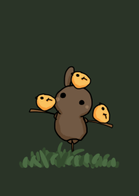 rabbit staring - stand right here