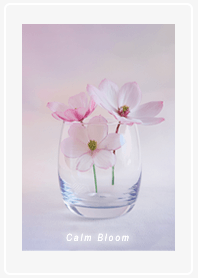 Gentle Glass Flowers01_1