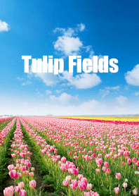 "Tulip Fields vol.6" theme