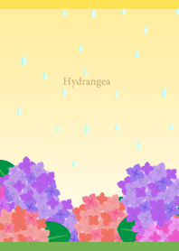 Rain and Hydrangea on yellow