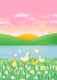 Duck 5r