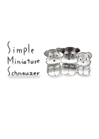ง่าย Miniature Schnauzer