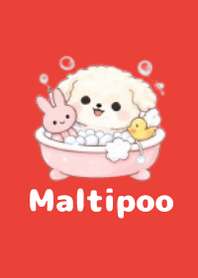 柔軟馬爾泰迪主題3 Red 04