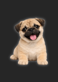 玩偶風巴哥主題 B-W 02