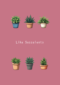 Like succulents(rose pink)