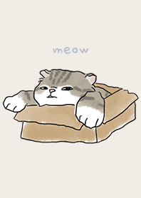 neko drawing1 / beige
