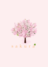SAKURA.....6