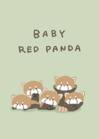 A lot of Baby red panda