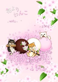 花よりわんこ（柴犬、桜、団子、春）