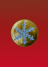 Crystal Button Yellow Red @WinterFeature