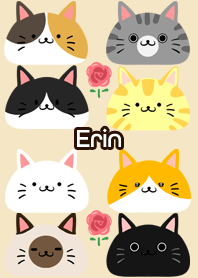 Erin Scandinavian cute cat3
