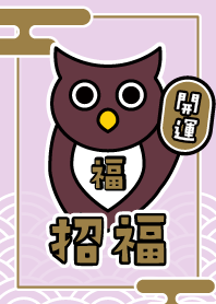 Lucky OWL / Purple x Brown