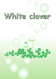 White clover...