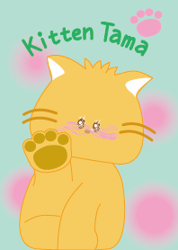Kitten Tama