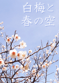 白梅と春の空