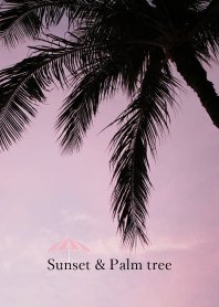 sunset and palm tree 14