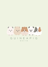 GUINEA PIG-GREEN 27
