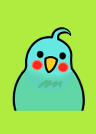 オカメインコ 巣