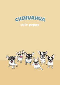chihuahua1 - yellow