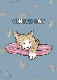 gingercat4 / pale blue